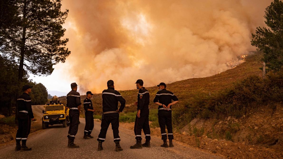 Mdiq-Fnideq: Les efforts se poursuivent pour circonscrire l'incendie de la forêt "Kodiat Tifour"